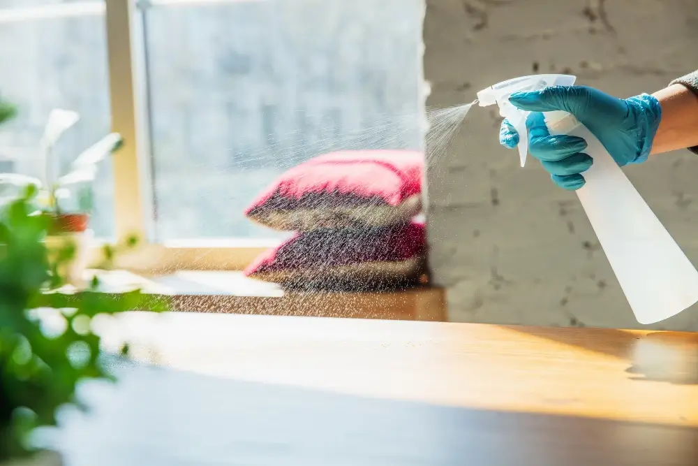 Deep Cleaning