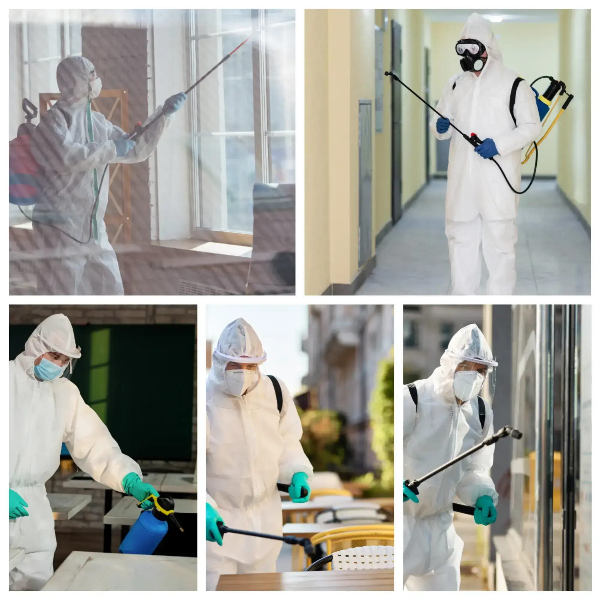 disinfection-and-sanitation
